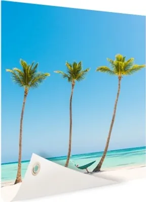Produktbild von Gartenposter - 80x120 cm - Karibischer Strand 3 Palmen  - Modernes Wandbilder