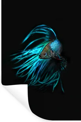 Produktbild von MuchoWow® - Sticker - Dekorfolie