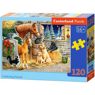 Zdjęcie produktu dla Castorland Gathering Friends 120 pcs, 120 szt., Kreskówki, 6 lat(a)