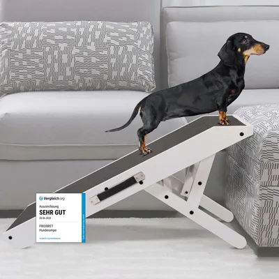 Produktbild von Hunderampe - Hundetreppe für kleine Hunde und große Hunde - Einstellbar 18 - 53 cm - Für Bett, Sofa - Birkenholz - Landeplattform schließt nahtlos an - Rampe Hund Klappbar - Anti-rutsch Einsatz Weiß