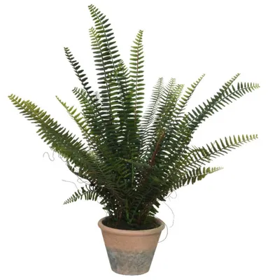 Produktbild von Kunstliche Pflanze - Farn - Kunststofftopf - 60 cm