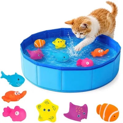 Immagine prodotto di Piscina pieghevole per gatti, dimensioni 30 x 10 cm, con 6 giocattoli galleggianti, adatta per cani di piccola taglia