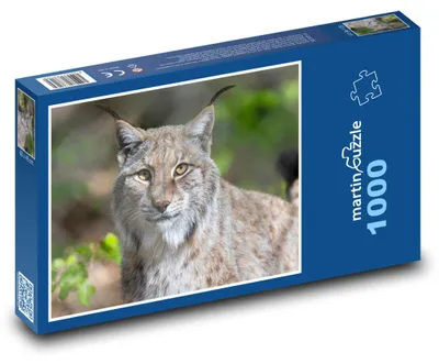 Zdjęcie produktu dla Puzzle 1000 Ryś na wolności - martinpuzzle