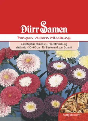 Produktbild von Pompon-Astern Mischung | Asternsamen von Dürr Samen