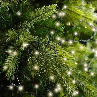 Produktbild von Kaemingk Lumineo Lichterkette Compact 500 LED warmweiß außen 11 m grün