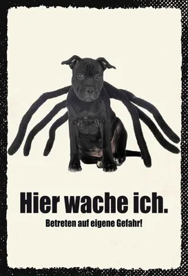 Produktbild von vianmo Holzschild 30x20 cm Hund hier wache ich eigene Gefahr