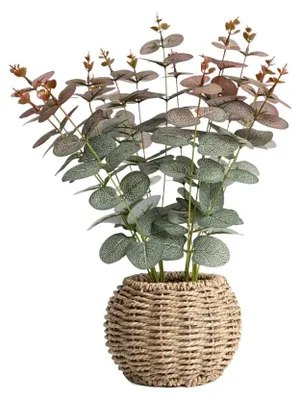 Zdjęcie produktu dla HOMLA Roślina sztuczna EUUKA zielono-czerwony eukaliptus w doniczce 14x14x48 cm