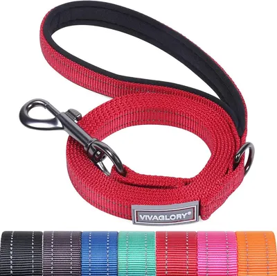 Gefütterter Handgriff Reflektierendes Nylon Hundeleine - Schwere Trainingsleine für kleine bis große Hunde
