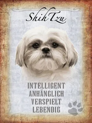 Produktbild von vianmo Holzschild 40x30 cm Shih Tzu Hund