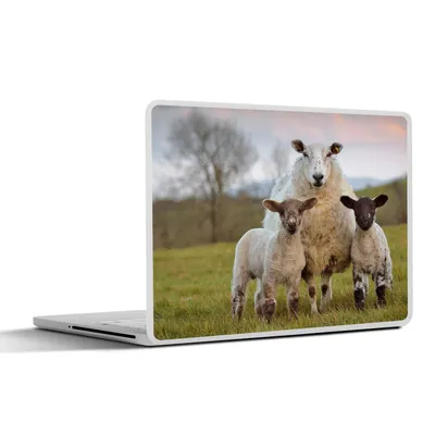 Produktbild von MuchoWow® Laptop Aufkleber Sticker Cover Schafe - Natur - Schwarz - Weiß 40x30 cm - Laptop Dekoration - Selbstklebend