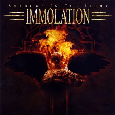 Produktbild von Immolation - Shadows In The Light (Limited Edition) (Marble Coloured) (LP)