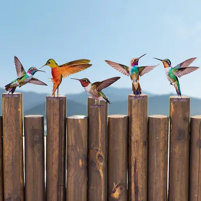 Produktbild von Gartendekoration 5 Stück, Metall Vögel, Gartenstecker, für Blumenbeete
