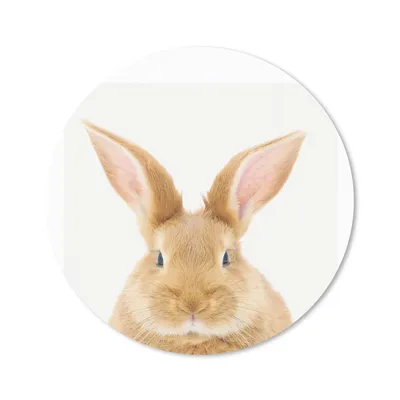 Produktbild von MuchoWow® Mauspad Mousepad Tiere - Kaninchen - Weiß 50x50 cm - Mousepads - Maus Mat - Pad - Mausunterlage - Vinyl