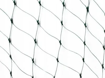 Immagine prodotto di Rete antiuccelli 2x10 m Planta