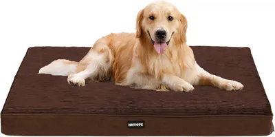 Produktbild von Orthopädisches Hundebett 112 cm, 10 cm dick, für mittelgroße und große Hunde, abnehmbarer Bezug, braun