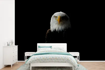 Produktbild von MuchoWow® Fototapete für Wohnzimmer oder Schlafzimmer Wandtapete Vinyl Motivtapete Adler - Vogel - Schwarz - 360x240 cm - Vinyl-Tapete
