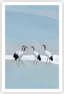 Produktbild von Poster - Poster ohne Rahmen - Vögel Kraniche Natur - 61x91,5 cm - Wand Bild - Wanddeko - Wandbilder - Kunstposter - Wandposter - Bilder - Kunstdruck - Wanddekoration - Wandbild - P2XPA61x91-4921