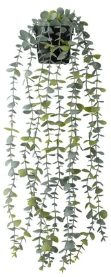Produktbild von Künstliche Eukalyptus-Hängepflanze, 55 cm, Hängepflanze, die einem echten Eukalyptus täuschend ähnlich sieht, zur Dekoration, künstliche Hängepflanze im Topf zur Verzierung von Wänden, Fensterbänken, Möbeln, Innen- und Außenbereichen.