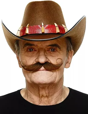 Produktbild von Zwirbelbart - Cowboybart Fasching Karneval Kostüm Farbe: grau-weiß meliert