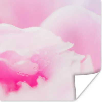 Produktbild von MuchoWow® Poster Nahaufnahme der Blütenblätter der rosa Pfingstrose 50x50 cm - Wohnzimmerdekoration