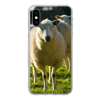 Produktbild von MuchoWow® Handyhülle Schutzhülle Hülle für iPhone X Schafe - Tiere - Wolle Silikon Softcase Handy Hülle - Handyhülle