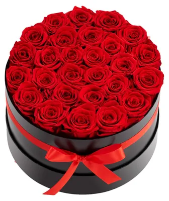 Produktbild von VEVOR Ewige Blumen, 100 konservierte Rosen in einer herzförmigen Box, ewige Blumen unsterblicher Strauß Geburtstagsgeschenk für Frauen, Ehefrauen, Mütter, Jubiläum, Valentinstag, Weihnachten, Rot, Rund-a, Rot-a