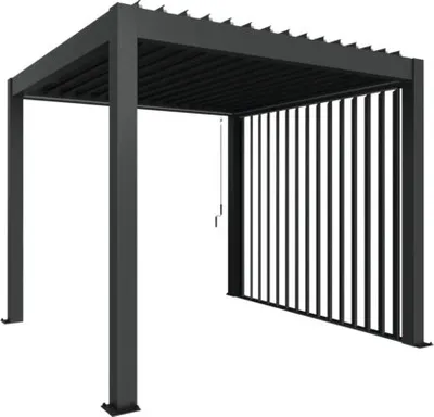 Obrázek produktu pro Boční stěna s lamelami biohort 235 x 272 cm tmavě šedá metalická
