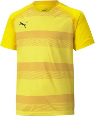 Obrázok produktu pre Puma teamVISION Jersey Kinder