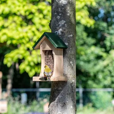 Produktbild von Futterhaus „Bremen“