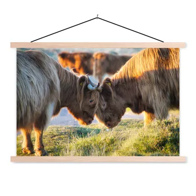 Produktbild von MuchoWow® Textilposter Schottische Highlander - Tiere - Sonne 60x40 cm mit holzfarbenen Rahmen - Bilder