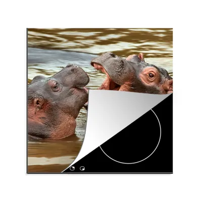 Produktbild von KitchenYeah© Herdabdeckplatte Nilpferd - Tiere - Wasser , 78x78cm, Küche Deko, Glaskeramikkochfeld Herdabdeckung, Abdeckplatte fùr Kochfeld