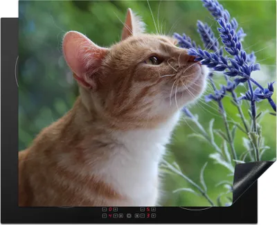 Produktbild von KitchenYeah© Herdabdeckplatte Katze - Blumen - Lila , 65x52cm, Küche Deko, Glaskeramikkochfeld Herdabdeckung, Abdeckplatte fùr Kochfeld