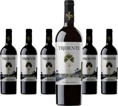 Produktbild von 6 x Tridente Tempranillo