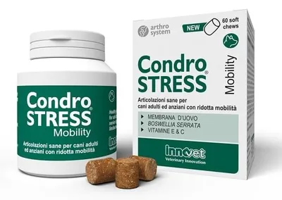 Image de CONDROSTRESS MOBILITÉ 60 comprimés souples