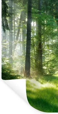 Produktbild von MuchoWow® Wandtattoo Wandsticker Wandaufkleber Natur - Bäume - Wald - Grün - Sonne - Gras - Pflanzen 20x40 cm Selbstklebend und Repositionierbar - Selbstklebend - Fototapeten
