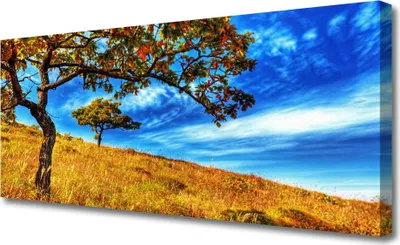 Produktbild von Tulup Leinwand-Bilder 125x50 Wandbild Canvas Kunstdruck Wiese Bäume Natur