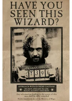 Produktbild von Harry Potter - "Wanted" Poster, ´Sirius Black´ CD1192 (Einheitsgröße) (Bunt)