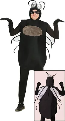 A person wearing a black insect costume with large silver eyes and wings.
