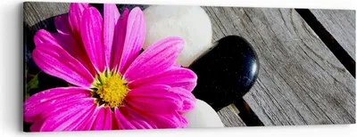 Produktbild von Bild auf Leinwand - Leinwandbild - Stein Blume Blütenblätter Chrysantheme - 90x30cm - Wand Bild - Wanddeko - Leinwanddruck - Bilder - Kunstdruck - Leinwand bilder - Wandkunst - AB90x30-2302