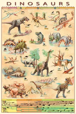 Immagine prodotto di Didattica - Educazione Dinosauri Dinosauro 5 - Stampa poster - Dimensioni 61x91,5 cm