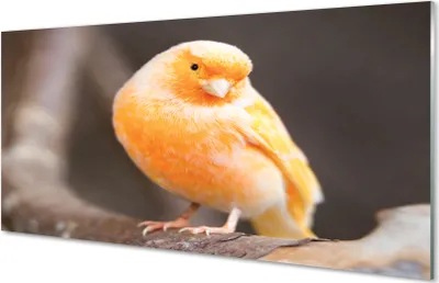 Produktbild von Glasbilder 120x60 Wandkunst Zweig Papagei