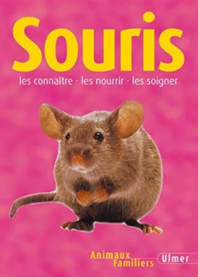 Image de Souris