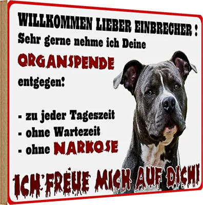 Produktbild von Holzschild Warnschild 30x20cm Willkommen lieber Einbrecher