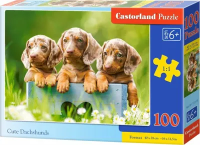 Immagine prodotto di Puzzle 100 Urocze jamniki B-111213