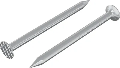 Image de vidaXL Clous pour bois, lot de 2, couleur argent, Ø 3 x 15 mm, en métal