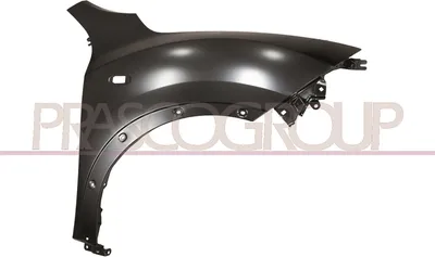 Produktbild von PRASCO DS7003033 Kotflügel Vorne Rechts für NISSAN JUKE (F15)