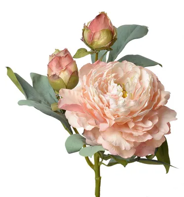 Image de Clayre & Eef Fleur artificielle 62 cm rose plastique