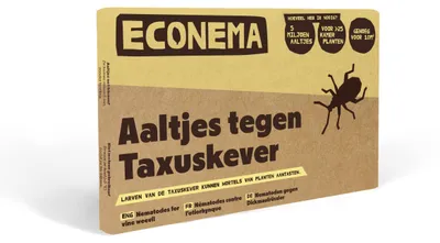 Productafbeelding van Econema Aaltjes tegen taxuskever – larven en wortelschade bij tuin- en potplanten – 20 m²