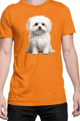 Immagine prodotto di Maglietta da uomo Dogs Breeds Maltese Dog Breed 006, Man S , Orange
