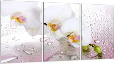 Produktbild von Glasschutzplatte für Herd 3x30x52
